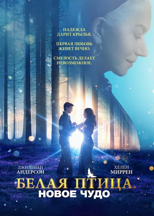 Постер 2