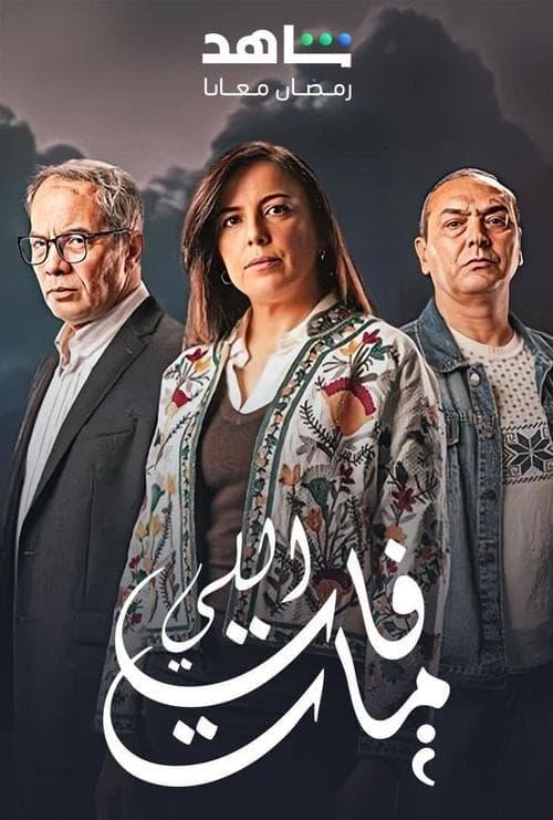Постер: اللي فات مات