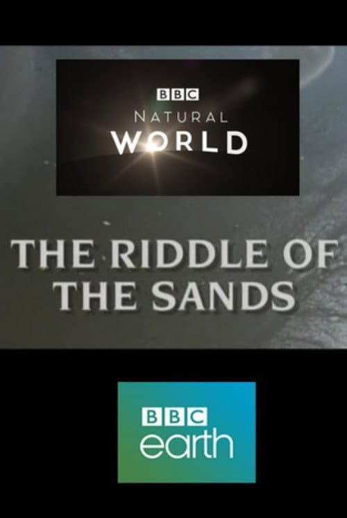 Постер: The Riddle of the Sands