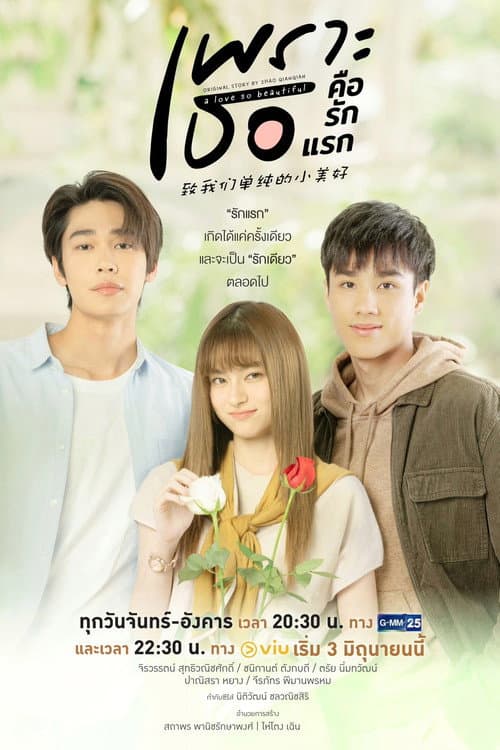 Постер: เพราะเธอคือรักแรก