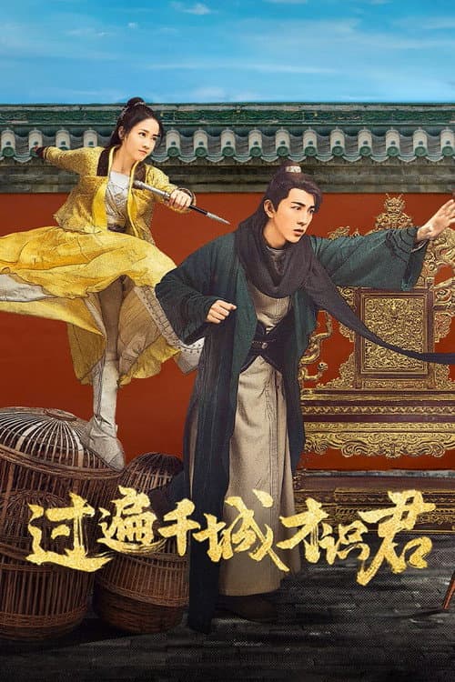 Постер: 过遍千城才识君