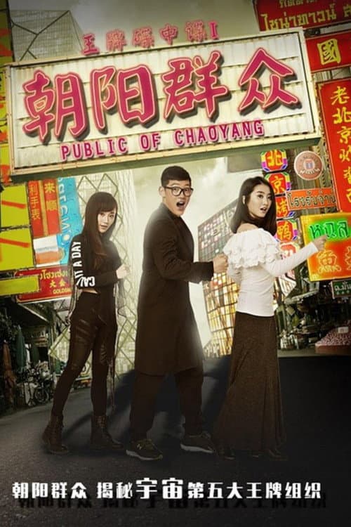 Постер: 王牌碟中谍之朝阳群众