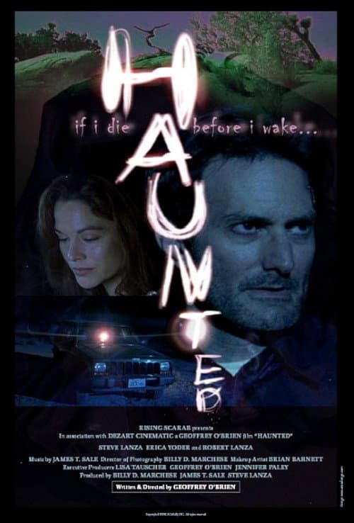 Постер: Haunted