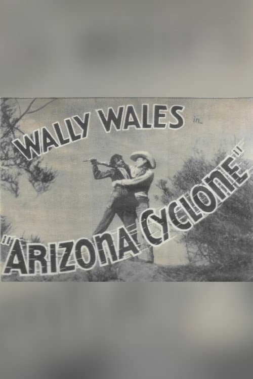 Постер: Arizona Cyclone