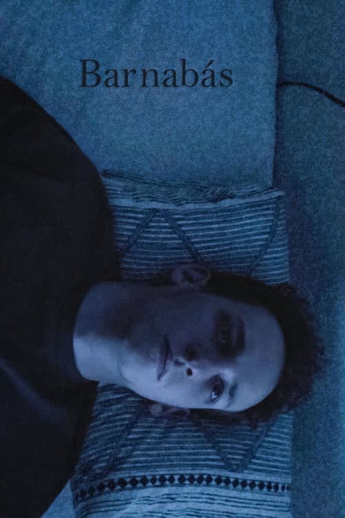 Постер: Barnabás