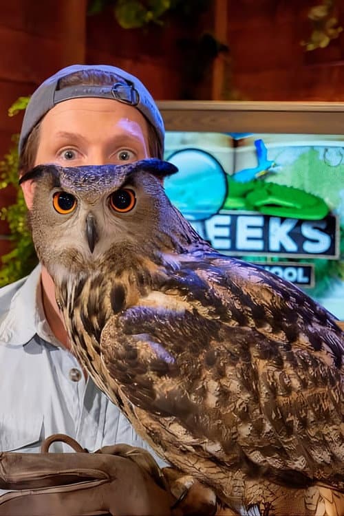 Постер: Freeks Jungle School