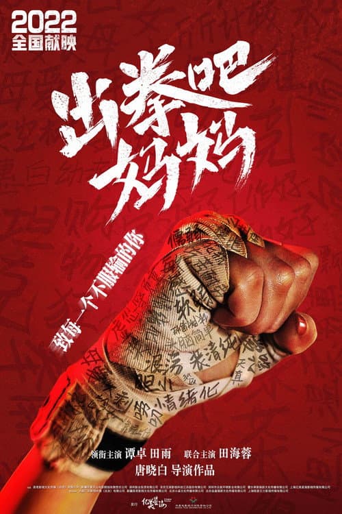 Постер: 出拳吧，妈妈