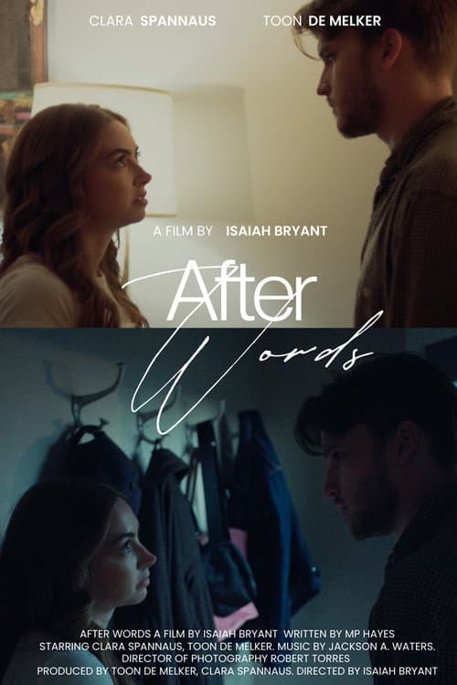 Постер: After Words