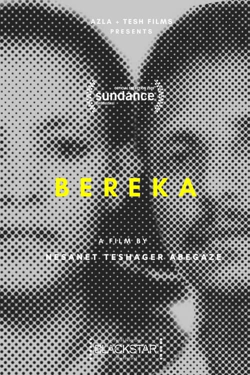 Постер: Bereka