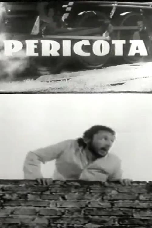Постер: Pericota