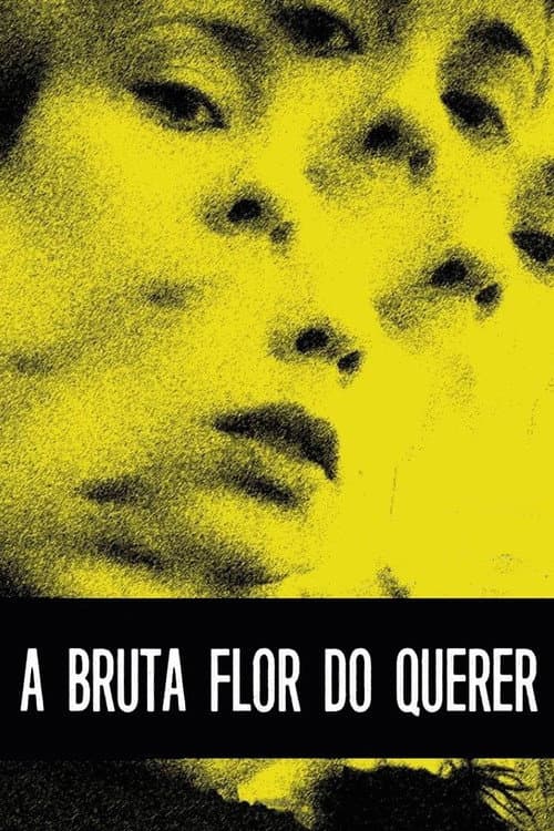 Постер: A Bruta Flor do Querer