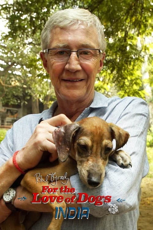 Постер: Paul O'Grady: For the Love of Dogs - India
