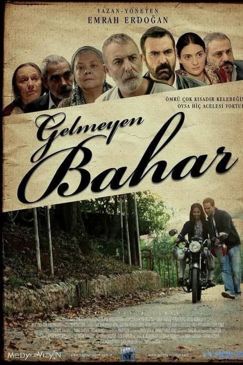 Постер: Gelmeyen Bahar