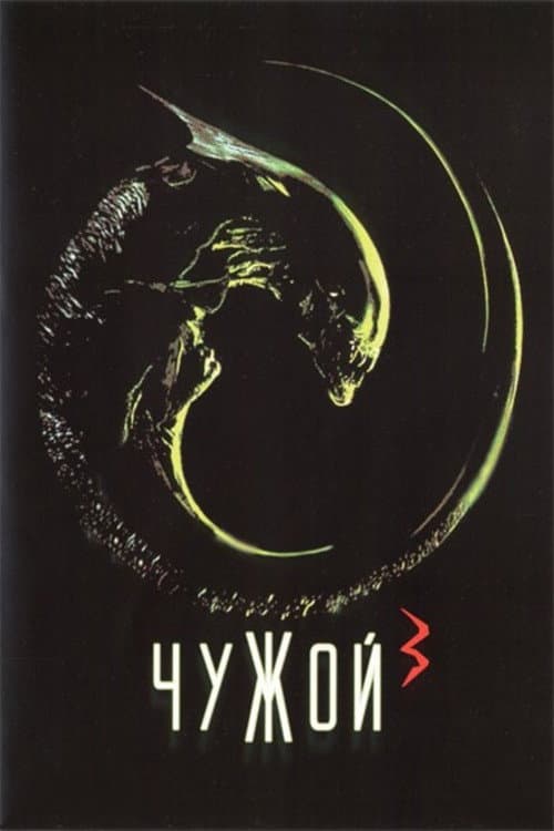 Кадр 12