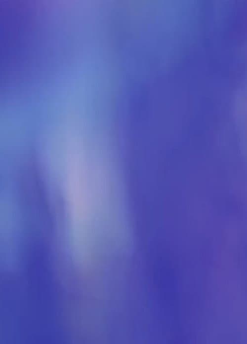 Постер: Jacarandas