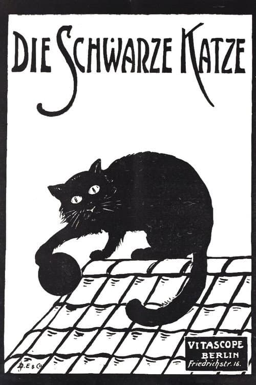 Постер: Die schwarze Katze 1. Teil