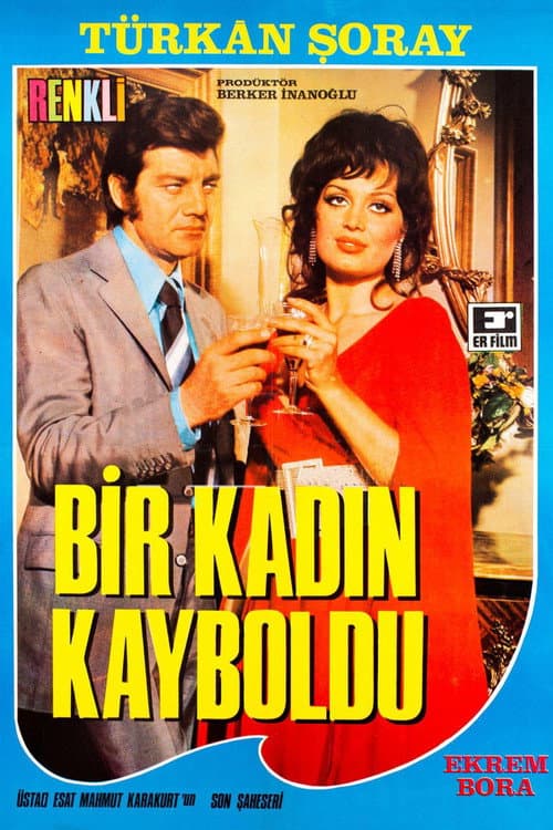 Постер: Bir Kadın Kayboldu