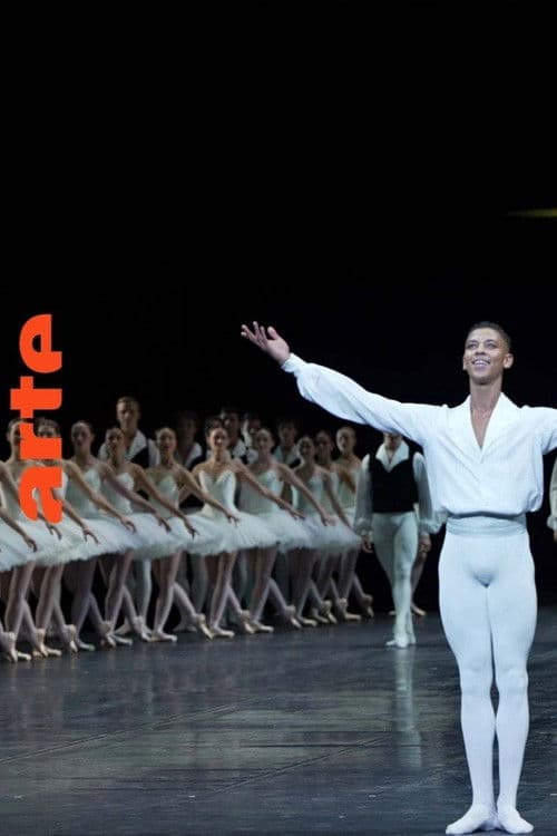 Постер: Être noir à l'Opéra