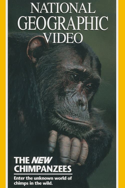 Постер: The New Chimpanzees