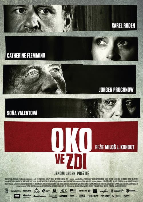 Постер: Oko ve zdi