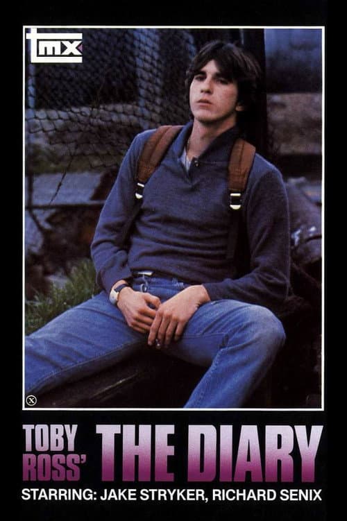 Постер: The Diary