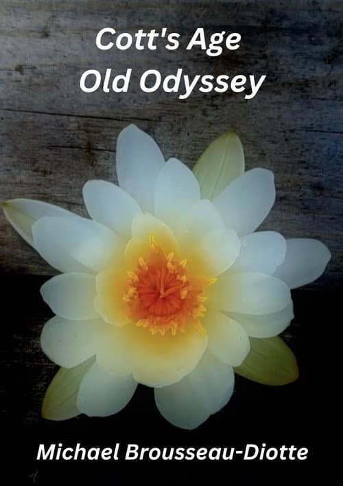 Постер: Cott's Age Old Odyssey