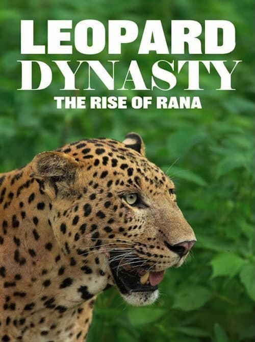 Постер: Leopard Dynasty – The Rise of Rana