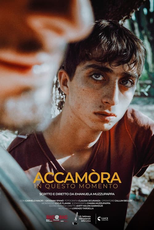 Постер: Accamòra (In questo momento)
