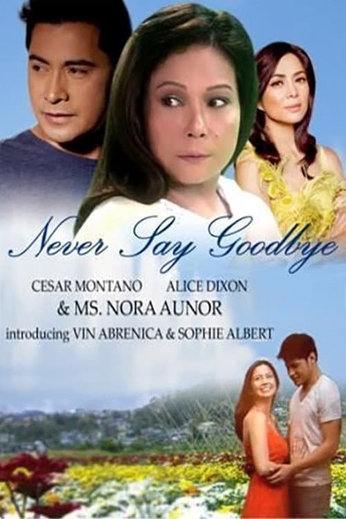 Постер: Never Say Goodbye