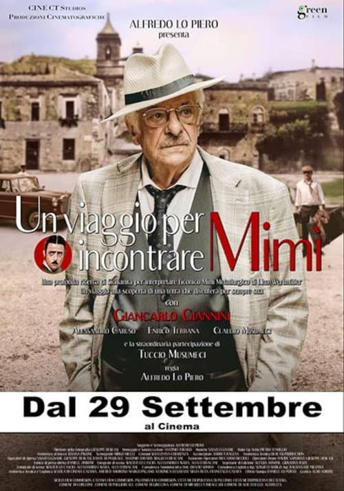 Постер: Un viaggio per incontrare Mimì