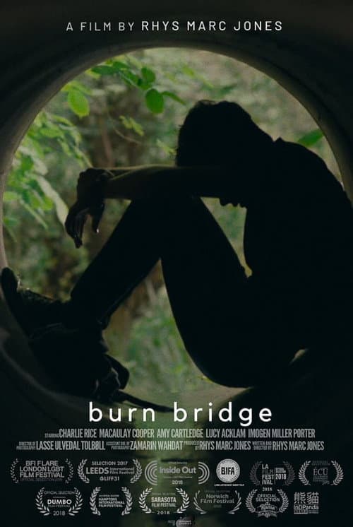 Постер: Burn Bridge