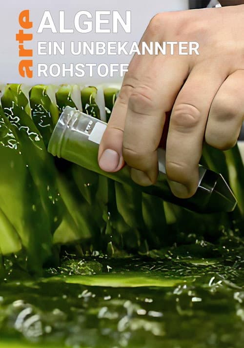 Постер: Algen: Ein unbekannter Rohstoff