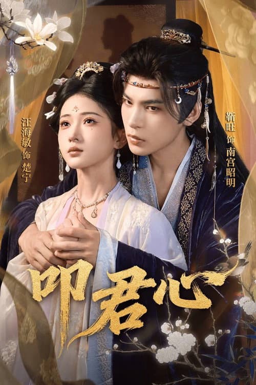 Постер: 叩君心