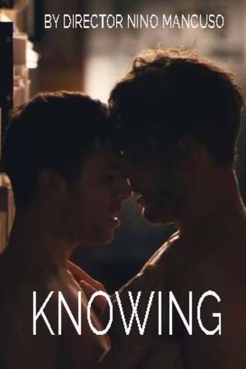 Постер: Knowing