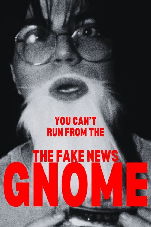 Постер: O Gnomo das Notícias Falsas
