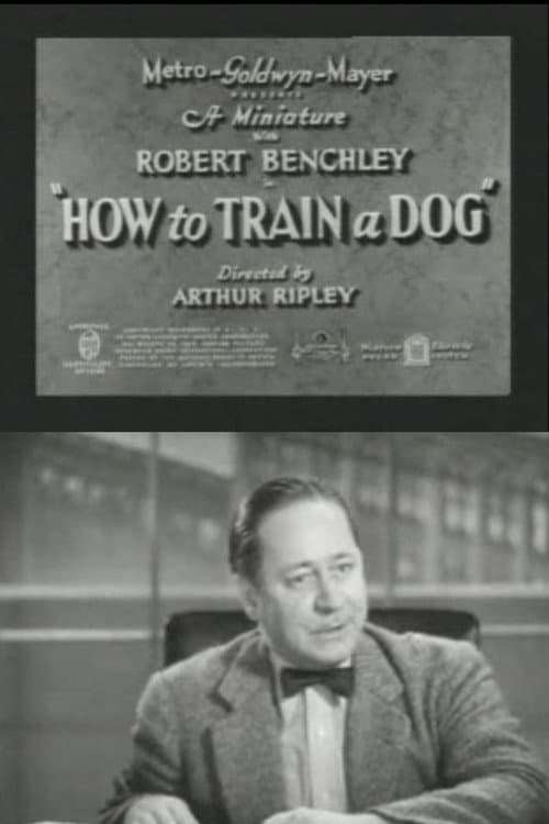 Постер: How to Train a Dog