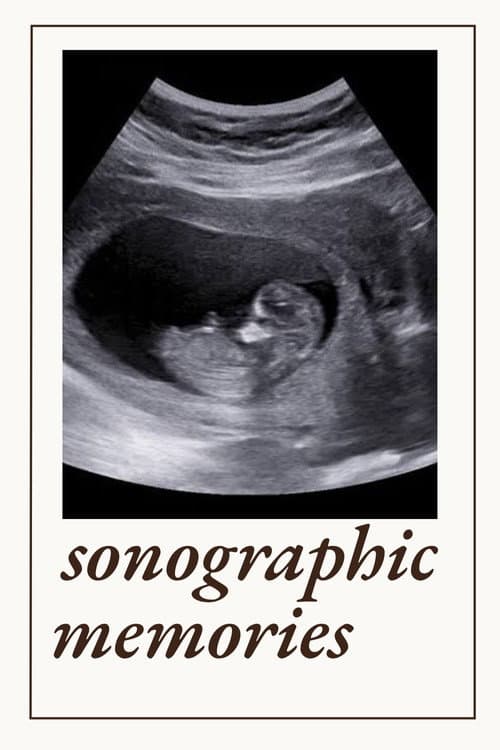 Постер: Sonographic Memories