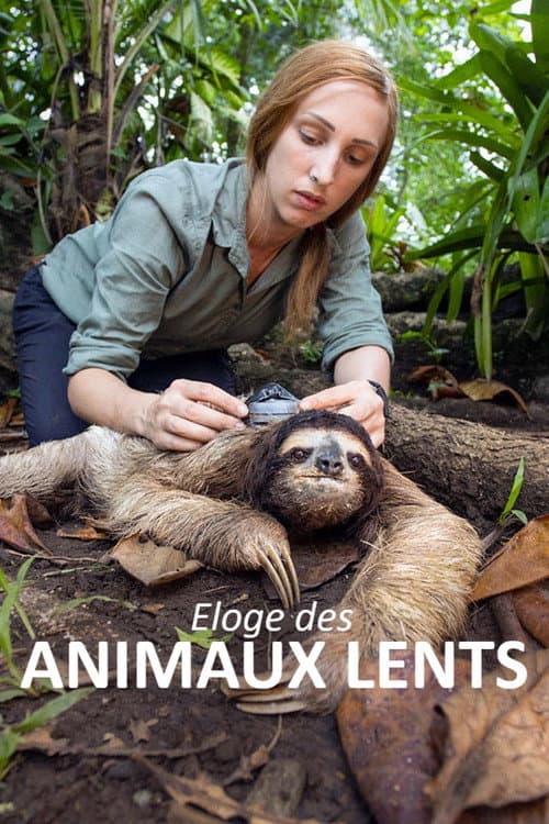 Постер: Éloge des animaux lents