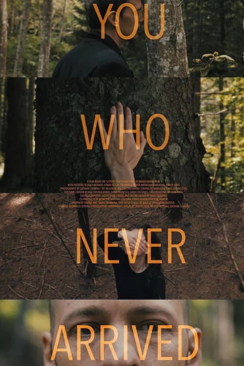 Постер: You Who Never Arrived