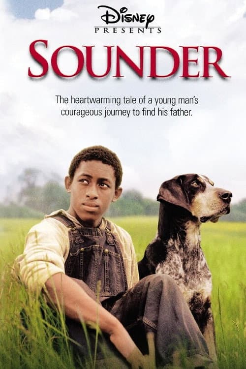 Постер: Sounder
