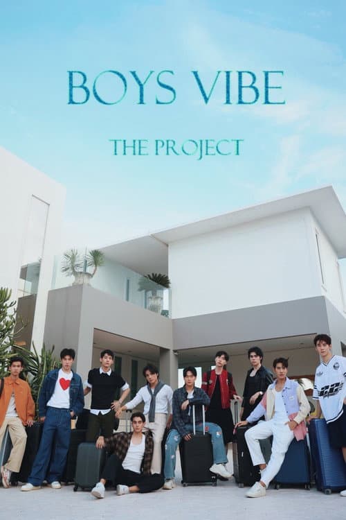 Постер: Boys Vibe The Project