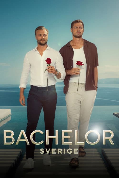 Постер: Bachelor Sverige