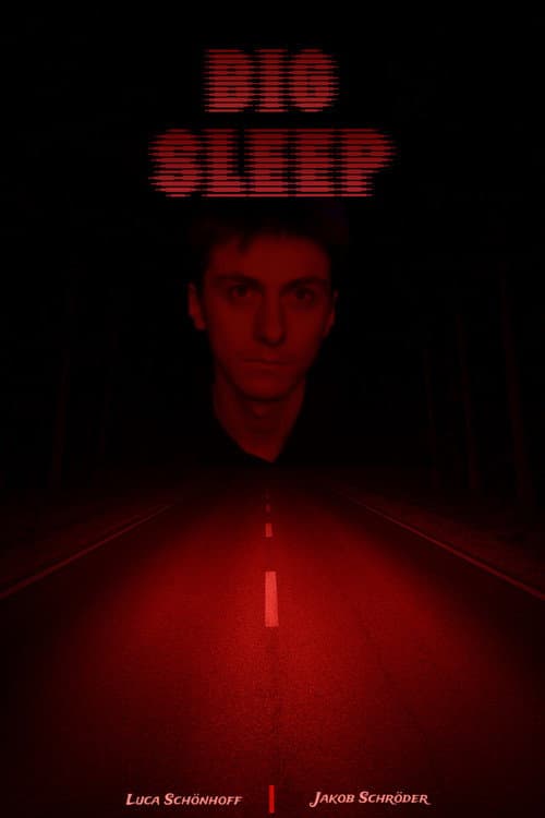 Постер: BIG SLEEP