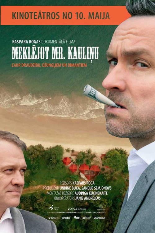 Постер: Meklējot Mr. Kauliņu
