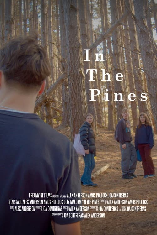 Постер: In The Pines
