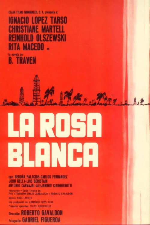 Постер: Rosa blanca