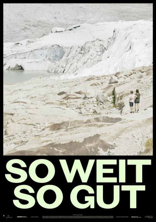 Постер: So weit so gut