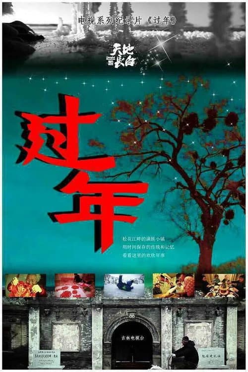 Постер: 过年