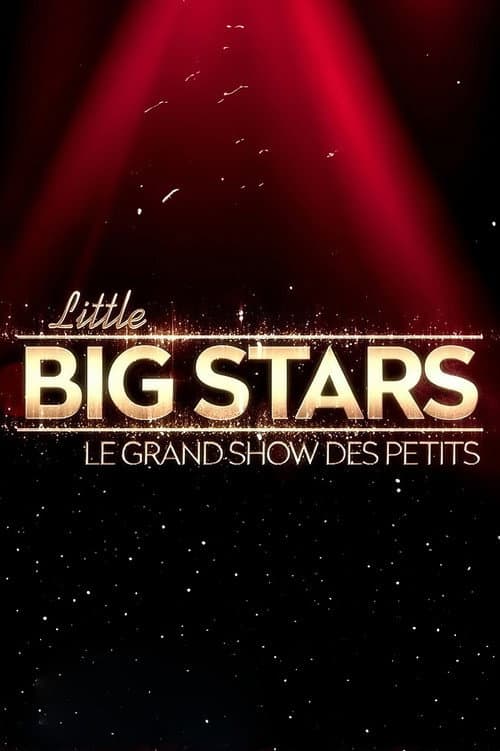 Постер: Little Big Stars FR