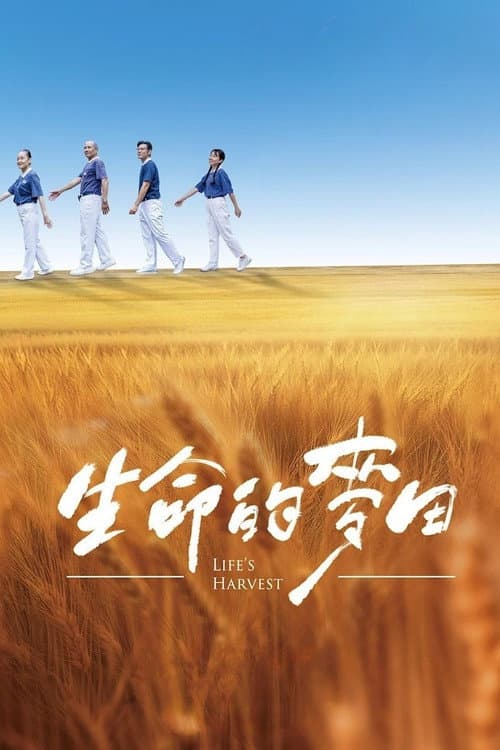 Постер: 生命的麥田